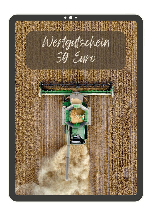 Wertgutschein Guide 39 Euro