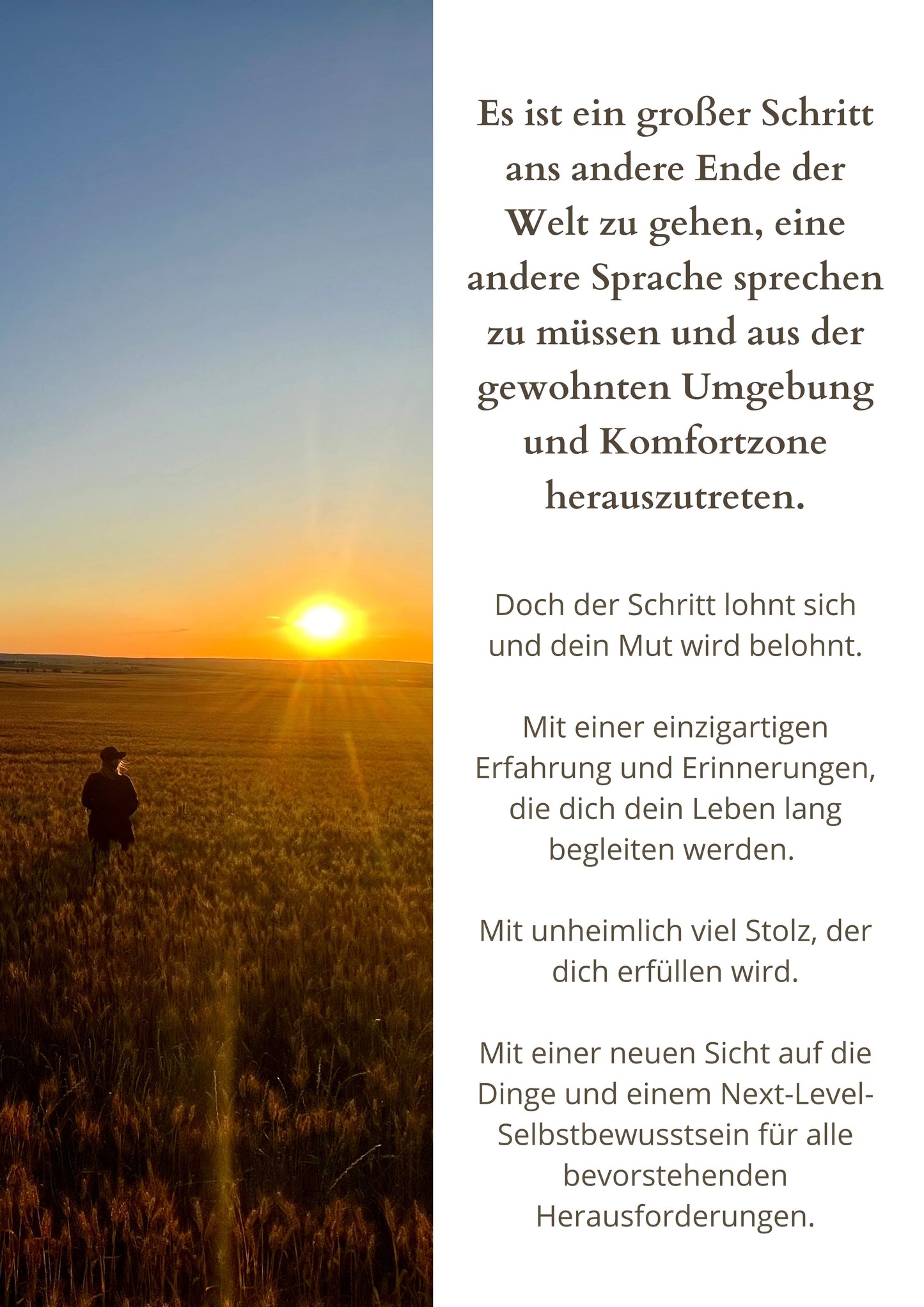 Einsteiger-Guide - Arbeiten auf Getreidefarmen in Australien ganz ohne Erfahrung! (E-Book)